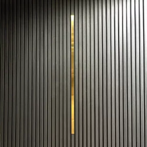 Cover voor Akoestisch Paneel Geborsteld Goud Large