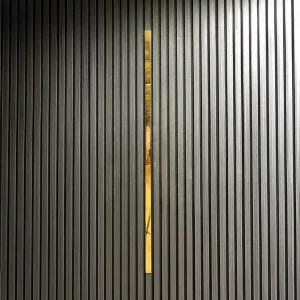 Cover voor Akoestisch Paneel Hoogglans Mirror Goud Large