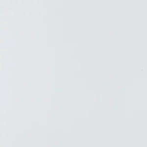 SPC Plaat Wandpaneel Mat Wit