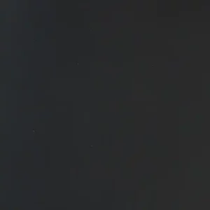 SPC Plaat Wandpaneel Mat Zwart