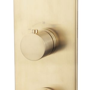 Caral afbouwdeel inbouwthermostaat 3 weg geborsteld messing PVD