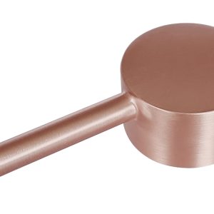 Caral hendel voor wastafelkraan met draaibare uitloop geborsteld koper