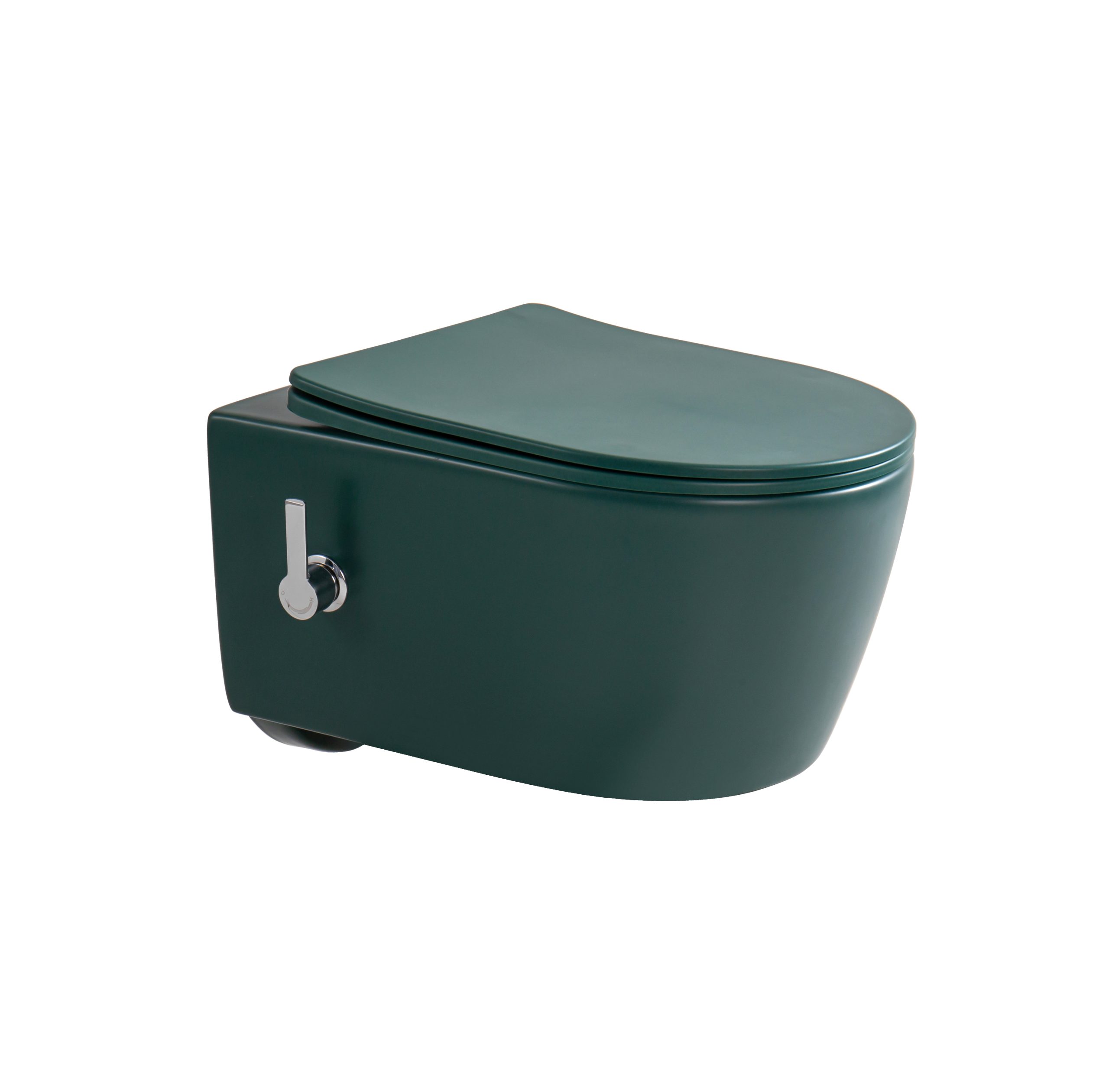 Kayvit Hangtoilet Mat groen met bidet Tornado/rimless